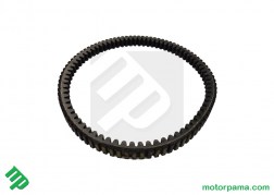 cinghia trasmissione access (4)